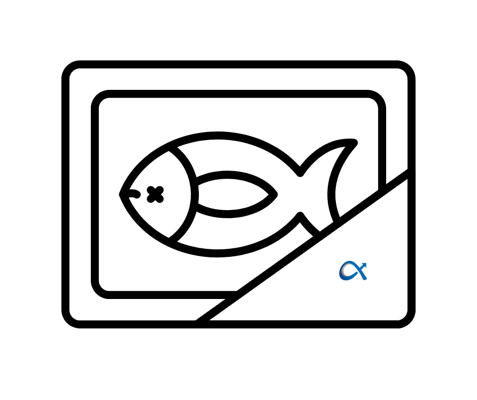 transport mrożonek - ryby
