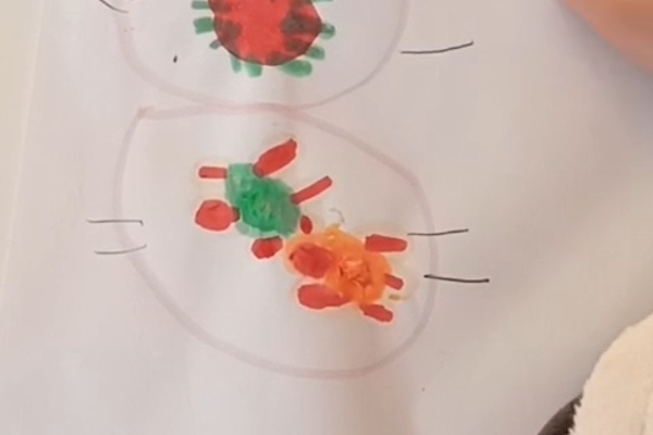 Alicja 5 lat