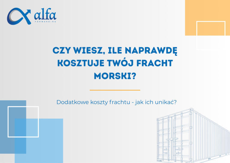 Ile naprawdę kosztuje Twój fracht morski? Dlaczego najtańsza oferta bywa najdroższa